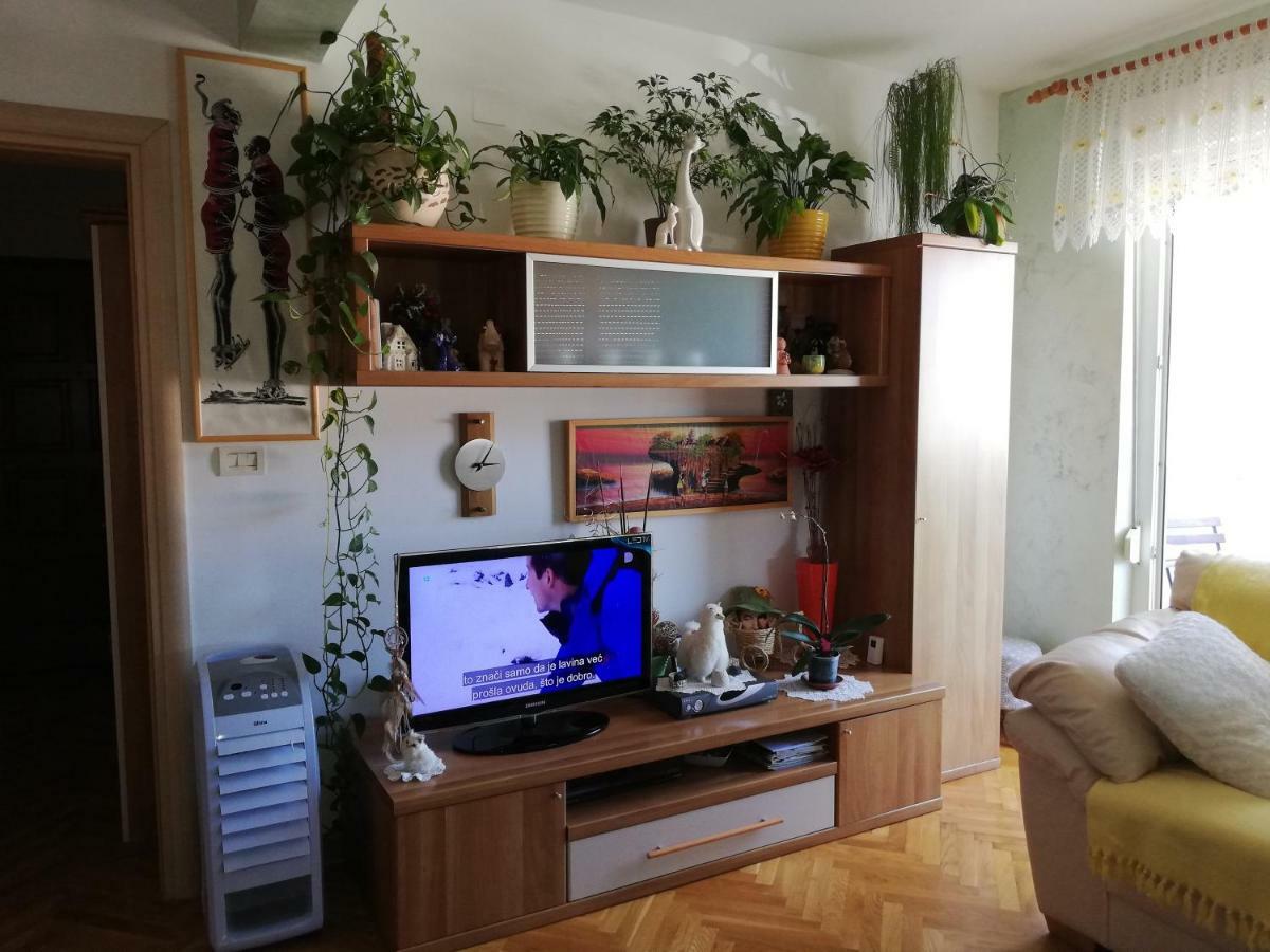 Cuore Di Umago מראה חיצוני תמונה